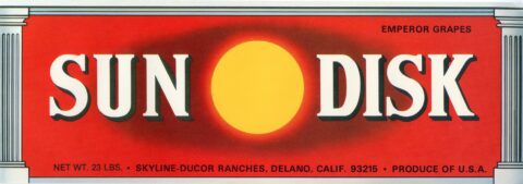 Sun Disk